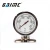 Import GWSS Industrial oven bolier temperature gauge instant read bimetal thermometer from China