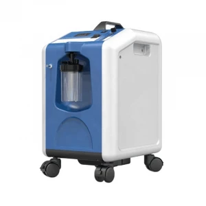 Health Medical Portable Oxygen Concentrator 10L  Medical Devices Physiotherapy Equipment for Elderly Care Products CE ISO13485