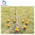 Import High capability small cheap manual ball picker/Table collector/hand tennis picking tool in ball park from China