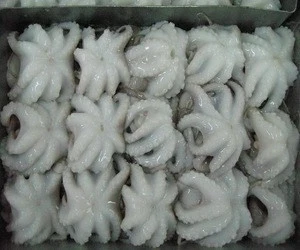 high quality and cleaned frozen baby octopus for sale