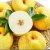 Import High Quality Cheap Price Fresh Smooth Juicy Crispy Pear from China