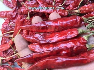 high quality chilies supplier