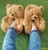 Import High quality custom fluffy indoor women girls teddy bear plush Slippers women red brown teddy bear slippers from China