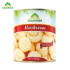 High Quality Hot Sale 850g Steamed Canned Mushroom Slices in Brine