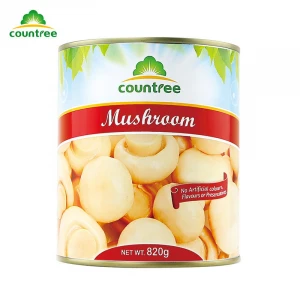 High Quality Hot Sale 850g Steamed Canned Mushroom Slices in Brine