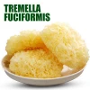 High quality organic tremella fuciformis silver ear mushroom dried white fungus