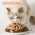 Import High Quality Pet Cat Food Dispenser Full Price Cat Food Natural Muscle Formula Grain Free 30 Lb Bags Dry Cat Food from China