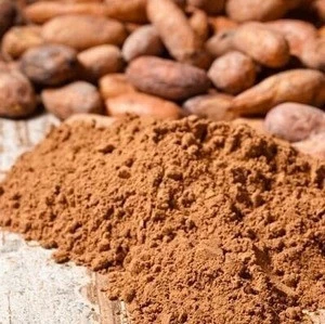 High Quality Pure Cocoa Powder..