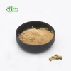 high quality pure natural ginger extract 6 gingerol 5% 10% 15% 10:1 5:1