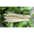 Import HIGH QUALITY RICE FLOUR DRINKING STRAWS /EDIBLE RICE DRINKING STRAWS IN BULK from Vietnam