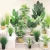 Import High Simulation Ornamental Plants Indoor Potted Turtle Leaf Variegated Monstera Deliciosa Monstera Artificial Plant from China