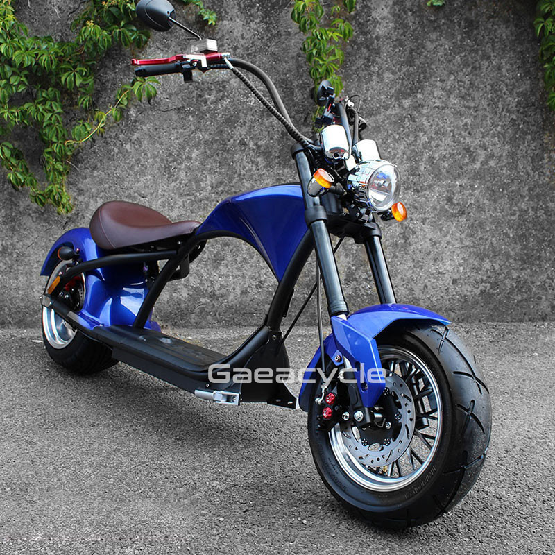 Buy Holland Warehouse M1 Citycoco 2000w Electric Scooter With Seat ...