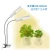 Import horticulture greenhouse bright 400w 450w growlight cxb3590 diy jayotech ar g spider sl 4000 sf quantum led grow light baord from China