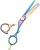 Import HOSPITECH HAIR DRESSING SCISSORS japanese hair scissors from Pakistan