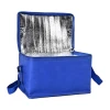 Hot Sale Custom cheap non woven school food insulated cooler lunch bag