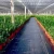 Import Hot Sale Customized Size Agricultural product 100% PP Plastic Weed mat from China