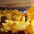 Import Hot Sale Factory Custom Luxury Unique Large Swim Giant Inflatable duck Pool Float Toy from China