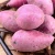 Import Hot Sale Fresh Healthy Purple Sweet Potato from China