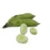 Import Hot sale frozen fresh green broad bean  Vicia faba from China