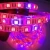 Import Hot sale Full spectrum DC12V smd 5050 Red Blue 4:1 5:1 strip led grow strip lighting for Greenhouse Hydroponic Plant Growing from China