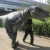 Import Hot Sale Park Equipment 15 Meters T-Rex Dinosaurs Animatronic Model Infrared Control from China