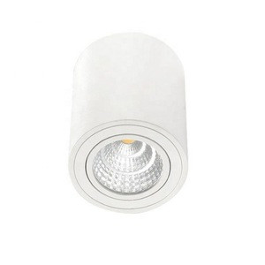 HOT selling Factory Price Round 20w aluminum cob Shenzhen Led Down Light With Tuv Ce Rohs