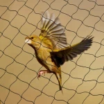 hot selling high quality white Anti Bird Netting