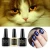 Import IBN fancy colors cat eyes gel nail polish,magnetic uv gel from China