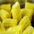 Import Indian yellow corn for animal feed from India