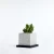 Import Indoor circular black and white lava rocks and activated carbon  planters bonsai pots from China