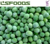IQF Specification Frozen Green Peas