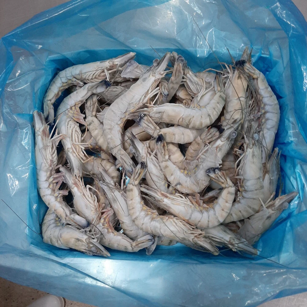 Japanese High Quality Wholesale Frozen Vannamei Shrimp for sale