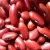 Import Kidney Beans, Light Speckled Kidney Beans Red Beans from South Africa