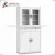Import Knock down Office furniture File storage cabinet,office equipment,Steel filing cabinet from China