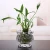 Import lantern shape crystal glass vase for water plant from China