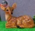 Import Life Size Outdoor Resin Deer Statues for sale from China