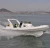 Import Liya 8.3m 27ft 20 persons inflatable boats rib cabin cruiser for sale from China