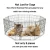 Import Lorenzo OEM Recinto Per Cani 36inch Stainless Kandang Anjing Rabbit Hutch Kooi Large Pet Cat Cage Houses Steel Dog Fence from China