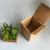 Import Love wood basin plant succulent bonsai Desktop creative green flowers artificial succulent plant from China