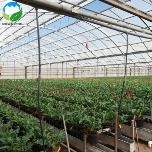 Low cost prefabricated greenhouse plastic film green house
