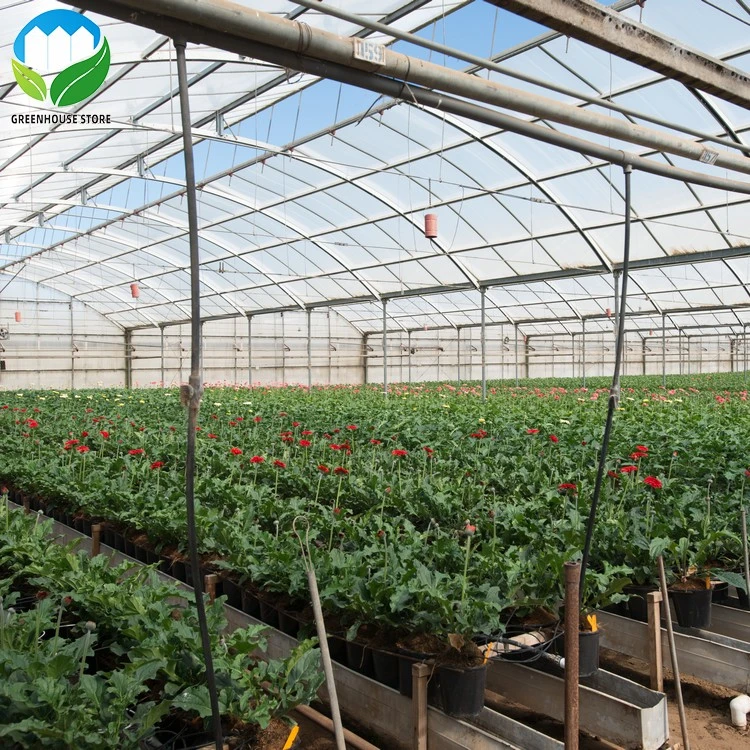 Low cost prefabricated greenhouse plastic film green house