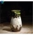 Import Low Price Alabaster Vase Bonsai Vase And Vase Made In China from China