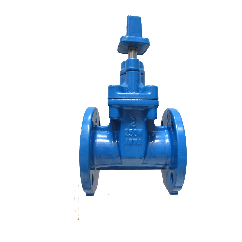 Made in China PN10 PN16 BS5163 Soft Seal Flange Ductile Iron Gate Valve