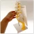Import Medical Anatomical plastic Lumbar Vertebrae spine model with sacrum skeletal model from China