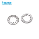 Metric toothed lock washers with internal teeth