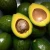 Import Mexican High quality Fresh Avocado exporter from Germany