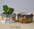 Import mini garden decoration house planter house flower pot vase decoration for garden houseplants from China