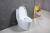 Import 300mm roughing-in toilet sanitary ware siphonic one piece wc ceramic toilet from China