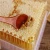 Import Natural bee comb honey from China