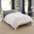 Import Natural Comfort 100% down feather quilted bed comforter price king size down comforter from China